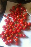 homegrown tomatoes + basil